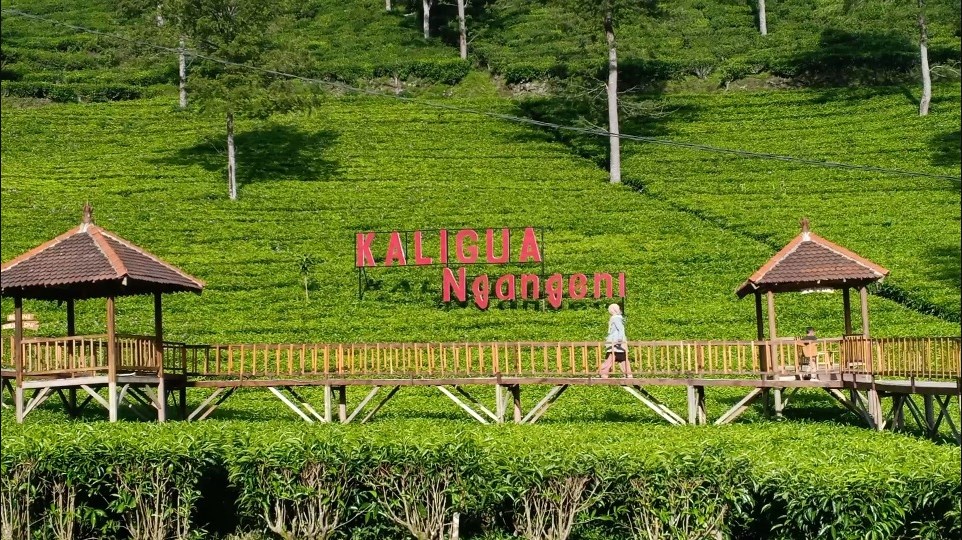 10 Destinasi Wisata Murah di Tegal yang Bikin Liburan Makin Seru