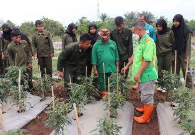 SMKN 2 Slawi Kembangkan Program Kemitraan Pertanian