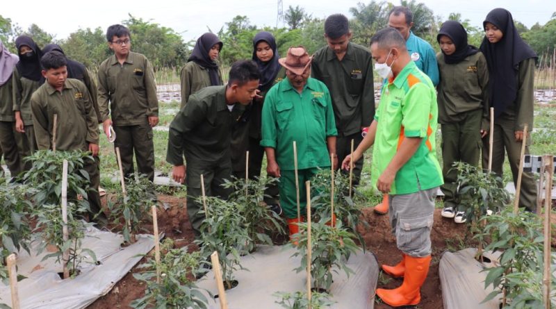 SMKN 2 Slawi Kembangkan Program Kemitraan Pertanian